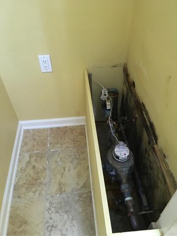 Five Signs of Mold Damage