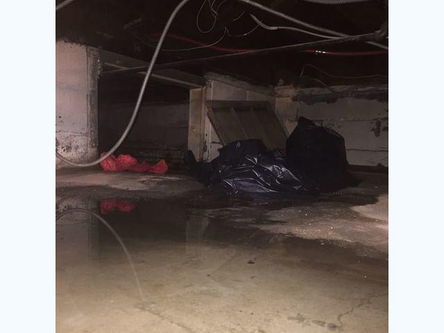 crawl space