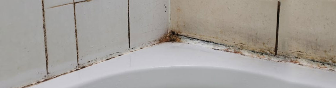 Bathroom Mold Removal