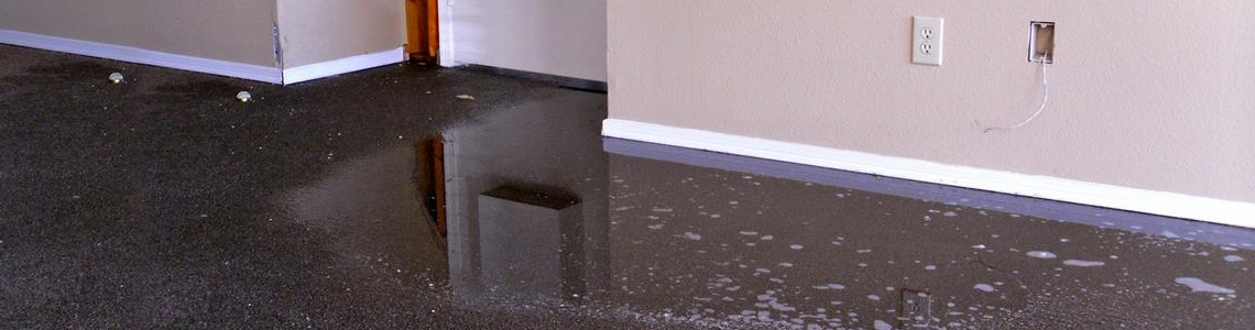 Carpet Water Damage