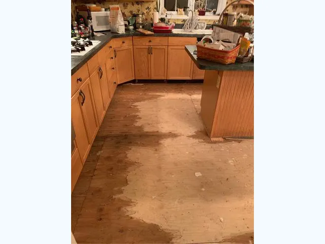 Dishwasher leak in Glen Garden - before
