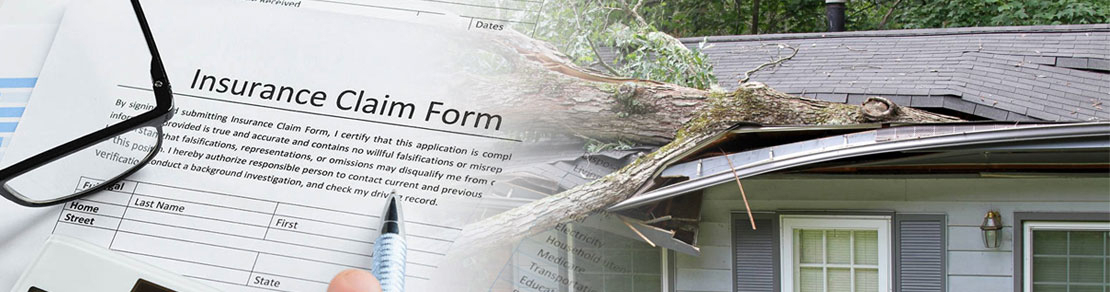 Insurance Claims-Northeast Power Dry Insurance Claims