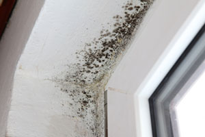Water Removal - Northeast Power Dry Water Removal