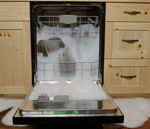 Dishwasher Overflow