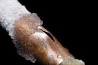 How to Avoid Frozen Pipes in the Winter