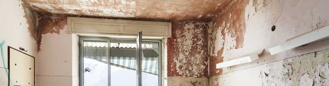 Mold Damage From Leak - Northeast Power Dry Mold Damage From Leak
