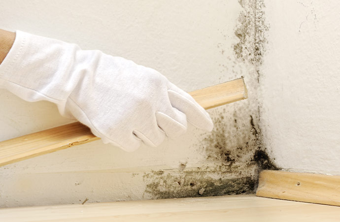 How Can Drying Save Your House After Water Damage?