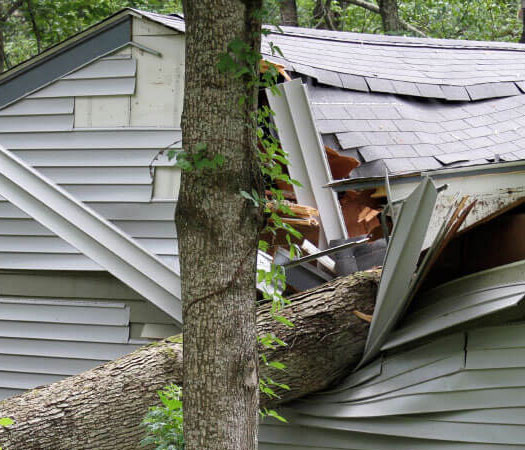 Insurance Claims-Northeast Power Dry Insurance Claims