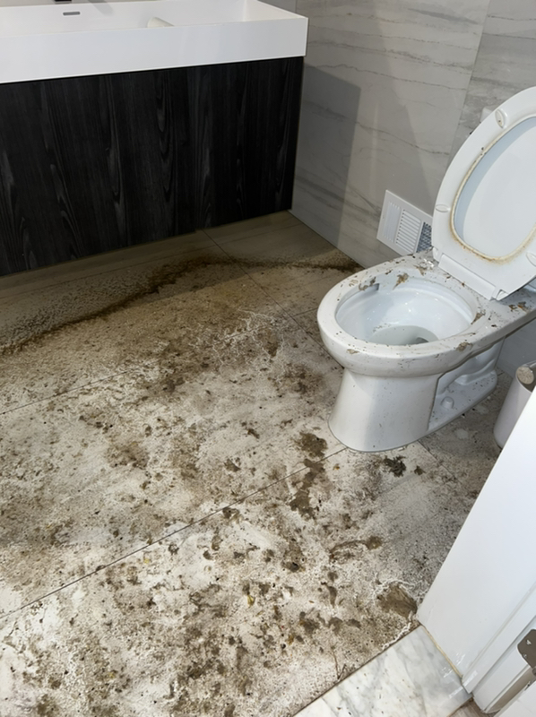 Sewer Backup in Caldwell, NJ Northeast Power Dry