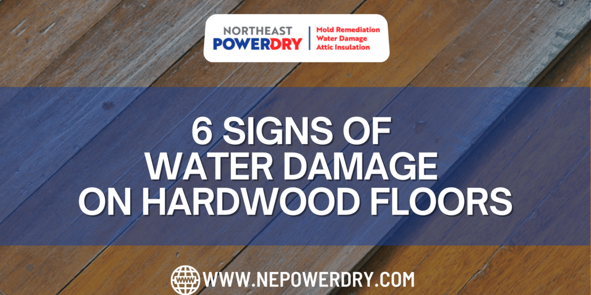 6 Signs of Water Damage on Hardwood Floors