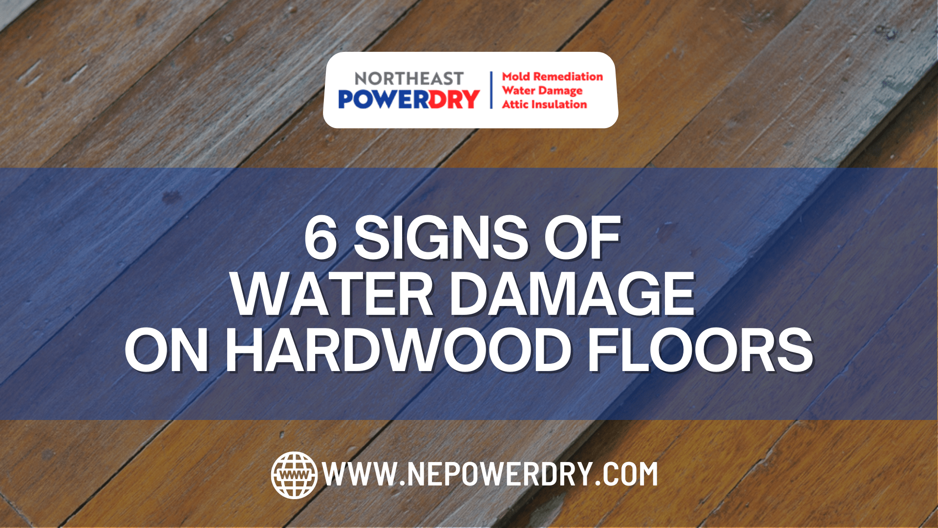 6 Signs of Water Damage on Hardwood Floors