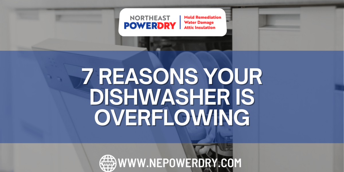 7 Reasons Your Dishwasher Is Overflowing