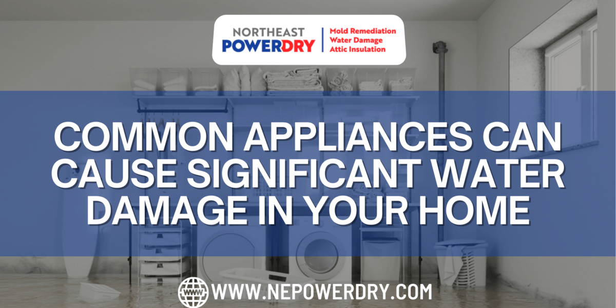 Common Appliances Can Cause Significant Water Damage in Your Home