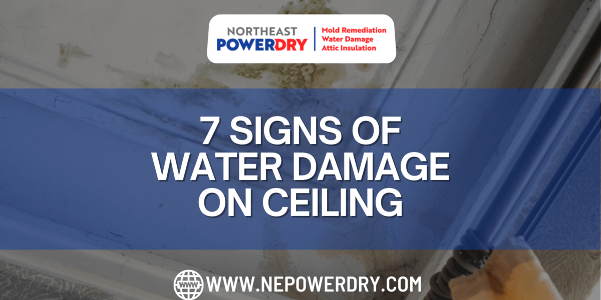 7 Signs of Water Damage on Ceiling