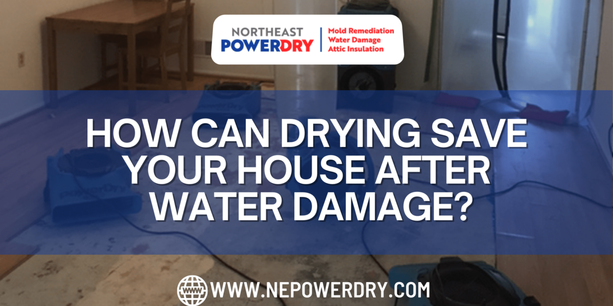How Can Drying Save Your House After Water Damage