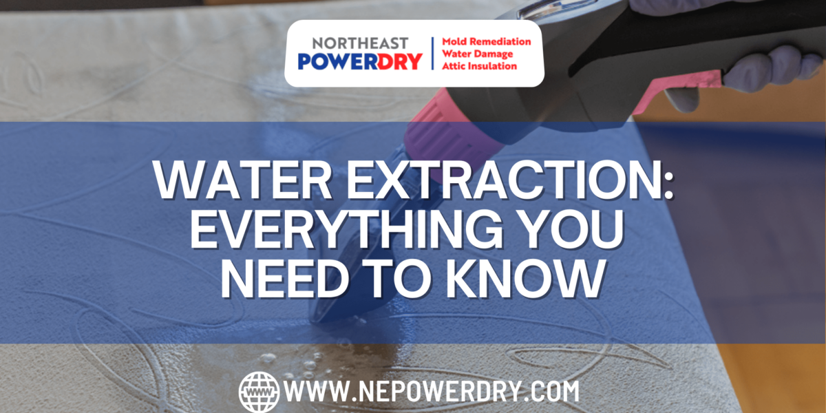 Water Extraction Everything You Need To Know