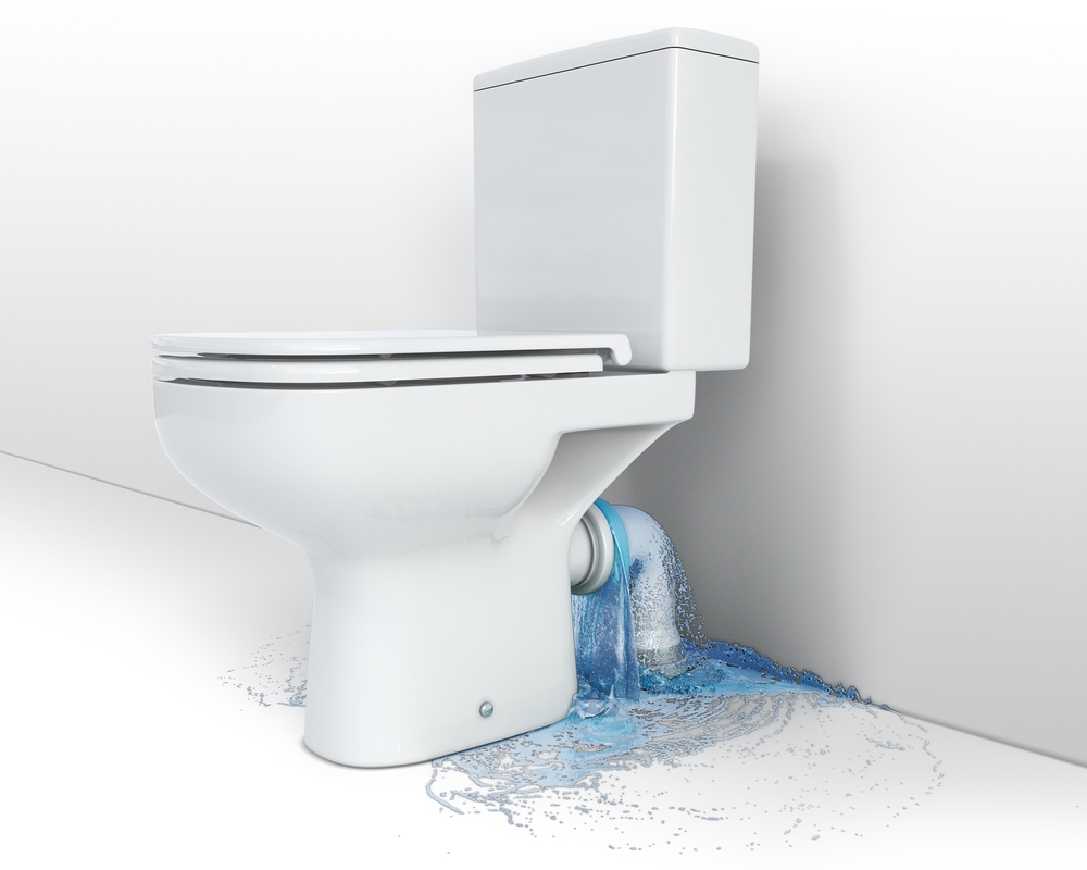 What Causes a Toilet to Overflow?
