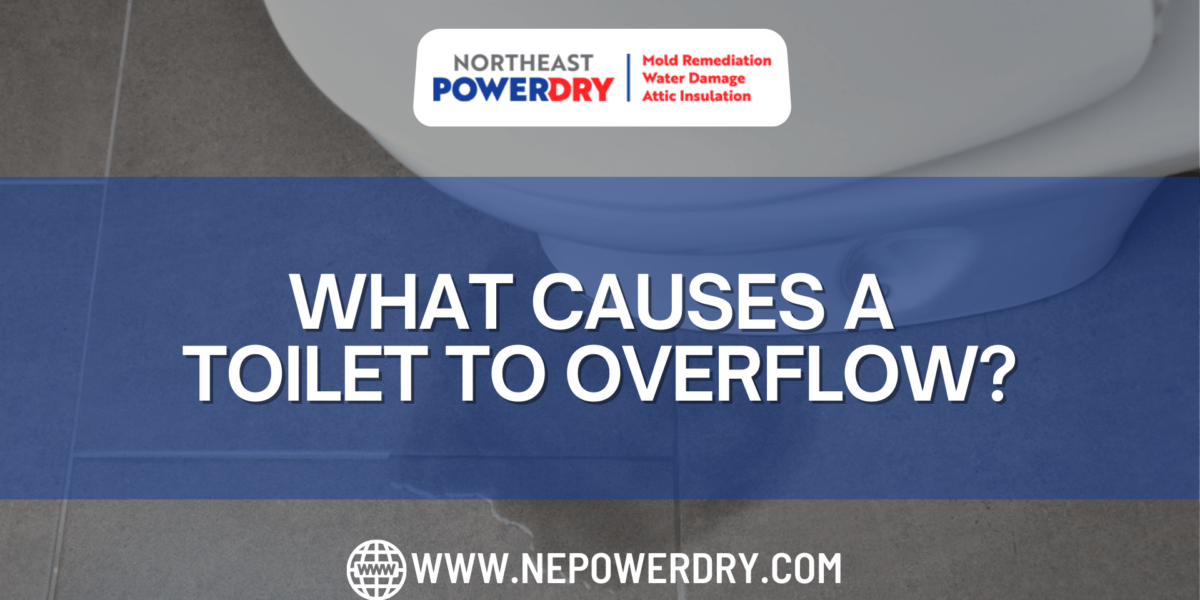 What Causes a Toilet to Overflow