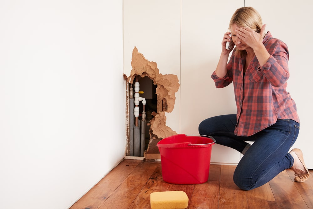 Call a Professional Water Damage Drying Company