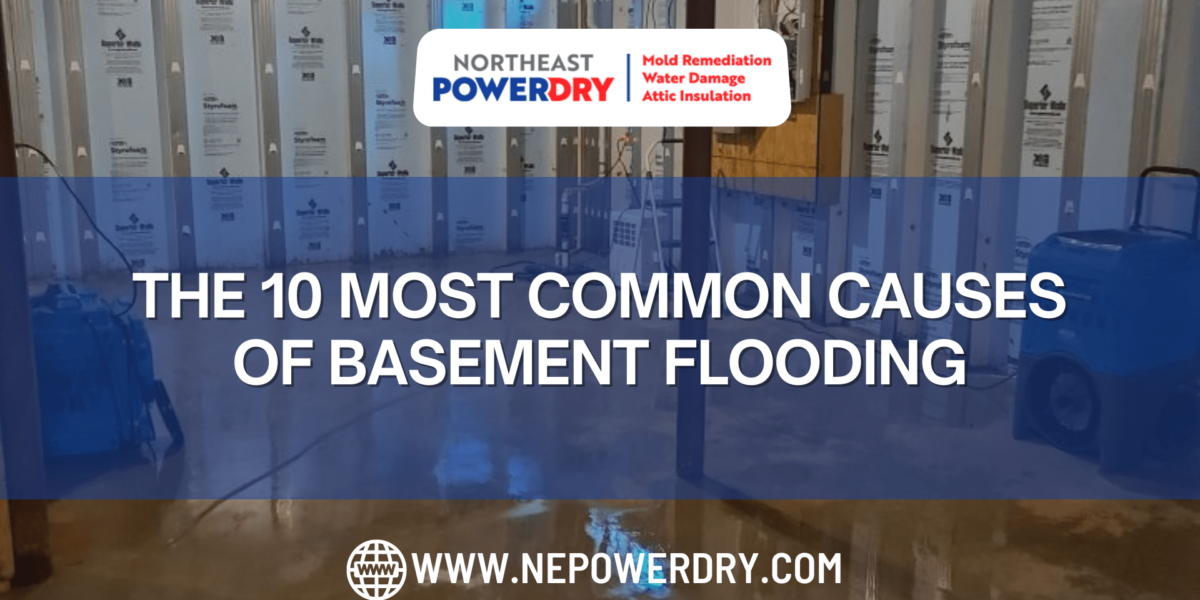 The 10 Most Common Causes of Basement Flooding