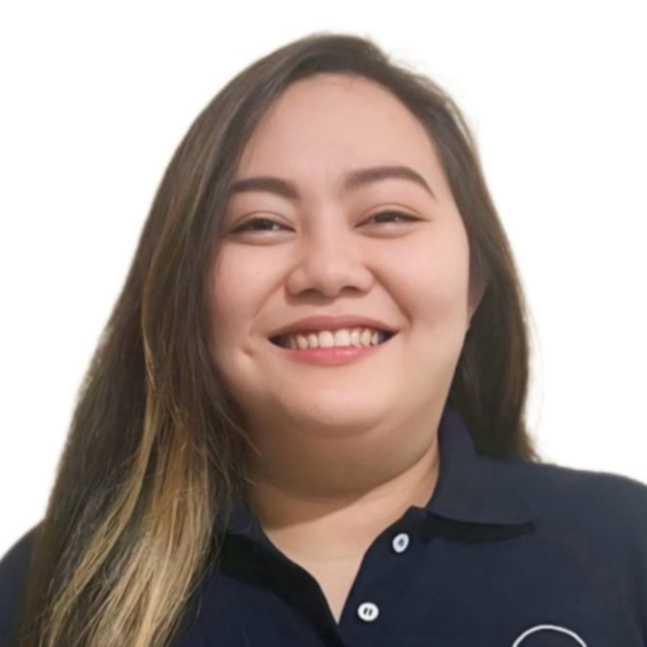 Meet the Team