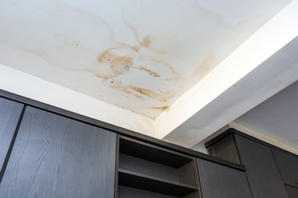 Ceiling Water Damage