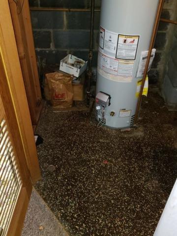 Before & After - Northeast Power Dry Before & After