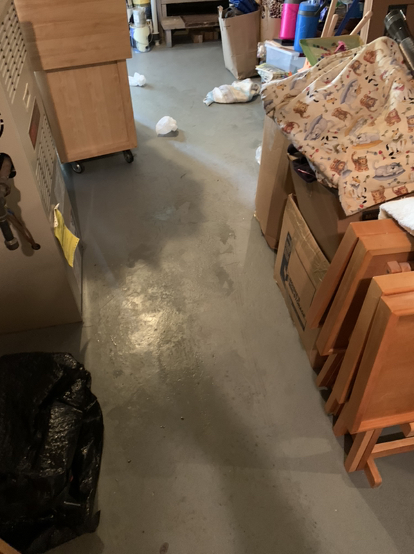 Sewer Back Up in the Unfinished Basement in Maplewood, NJ