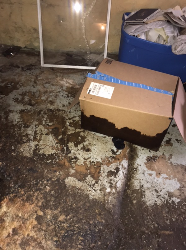 Sewer Back Up in the Basement in Avenel, NJ