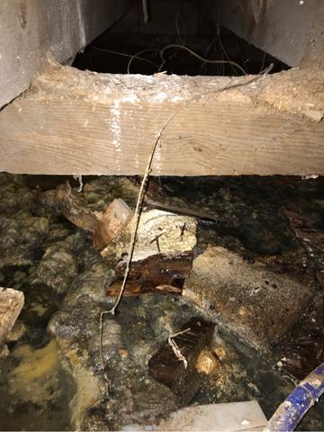 Sewer Backup in Asbury Park, NJ