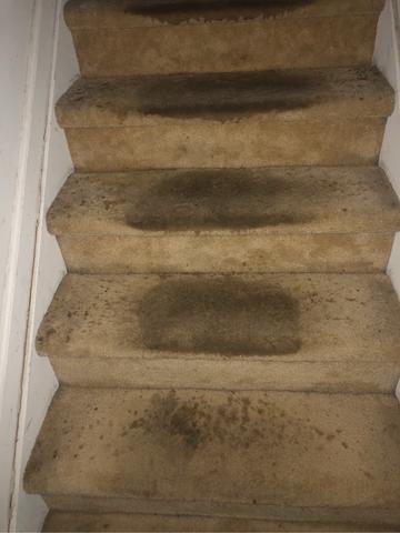 Overhead Sprinkler System Went Off in Scotch Plains, NJ