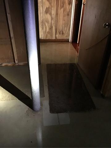 Sump Pump Failure in Mountainside
