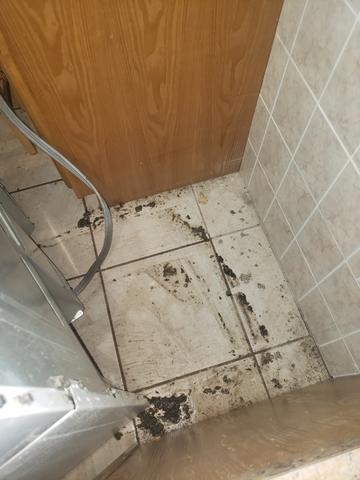 Drain Pipe Block in Elizabeth