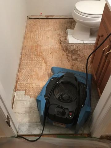 Toilet Water Supply Line Failure in Florham Park, NJ
