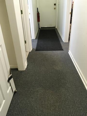 Sewage Backup in Hillside