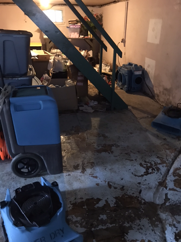 Sewer Back Up in the Basement in Avenel, NJ