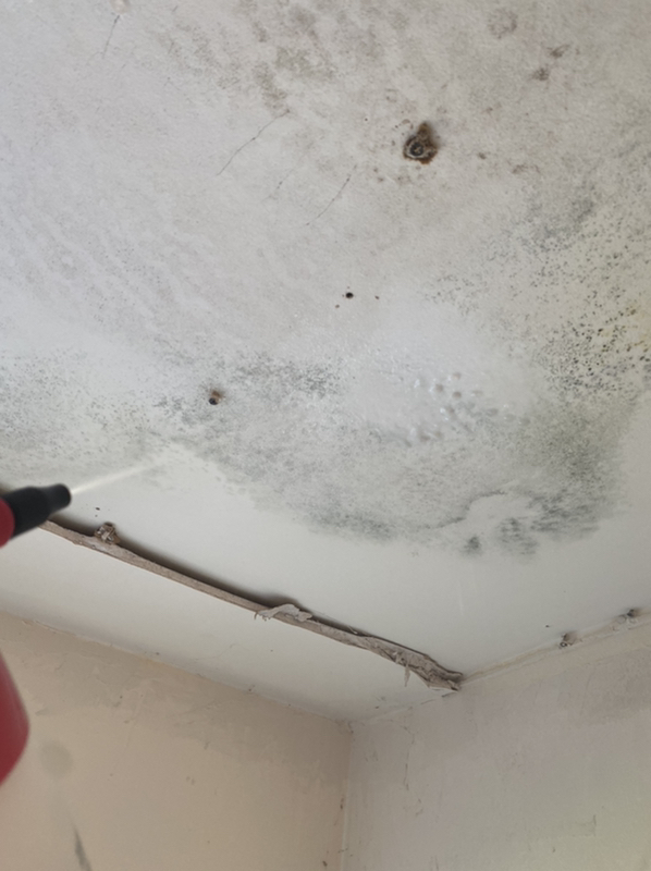 Pipe Break in Roselle, NJ