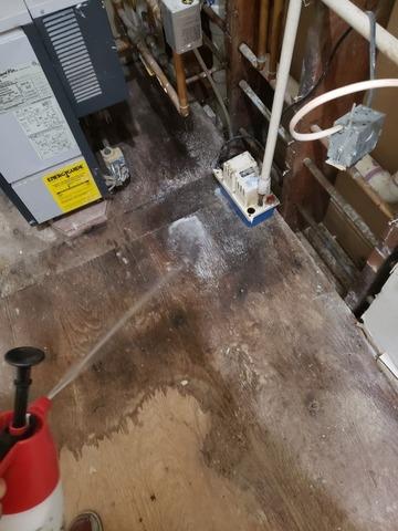 Before & After - Northeast Power Dry Before & After