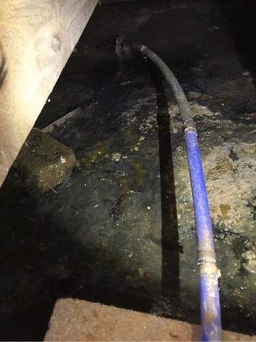 Sewer Backup in Asbury Park, NJ