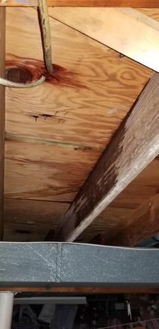 Toilet Overflow in South Bound Brook, NJ