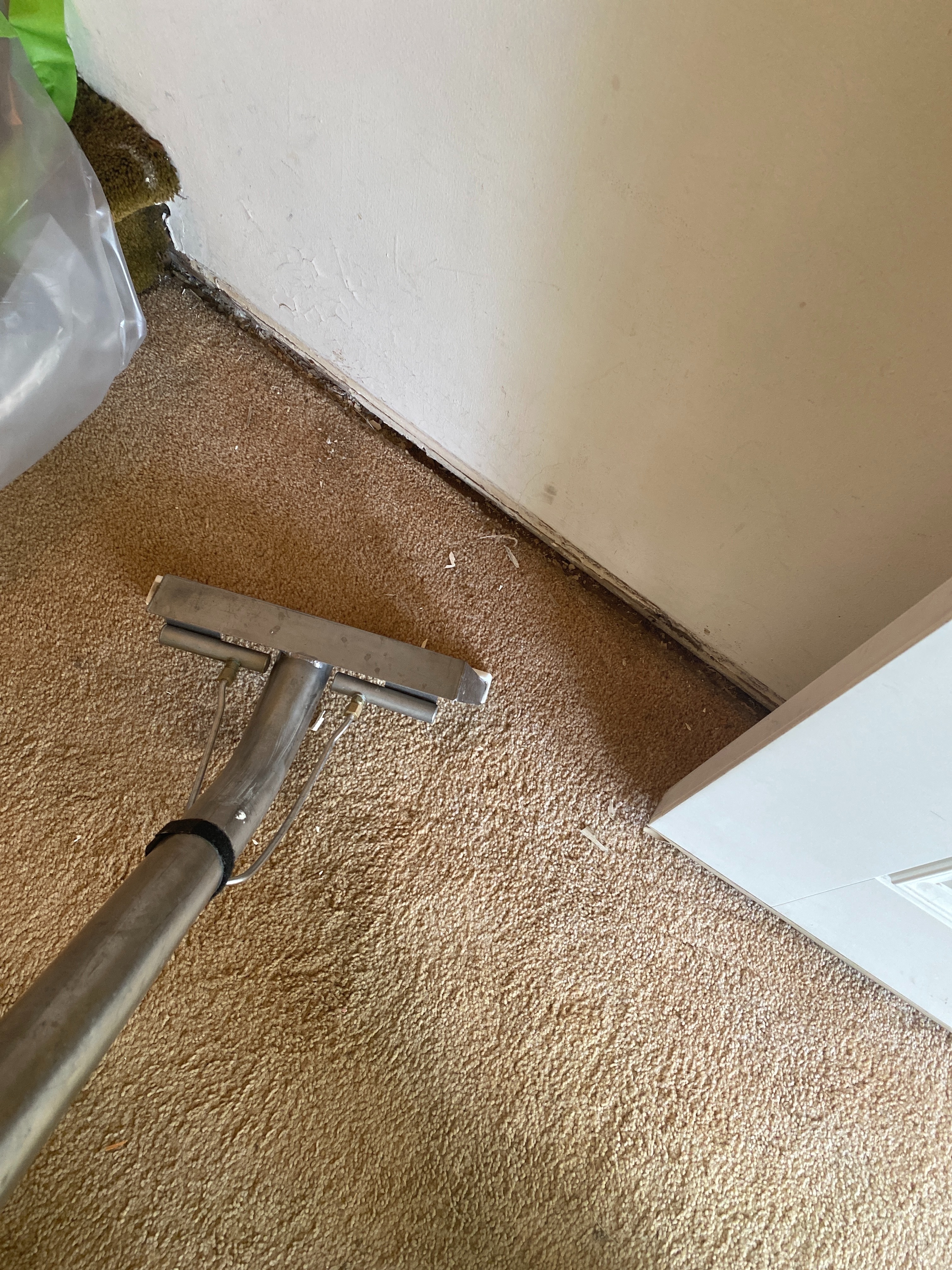 Pipe Break in Roselle, NJ