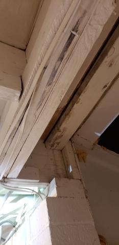 Pipe Leak Behind Dishwasher in Flemington, NJ