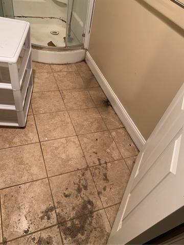 Main Sewer Line Backup in Linden, NJ