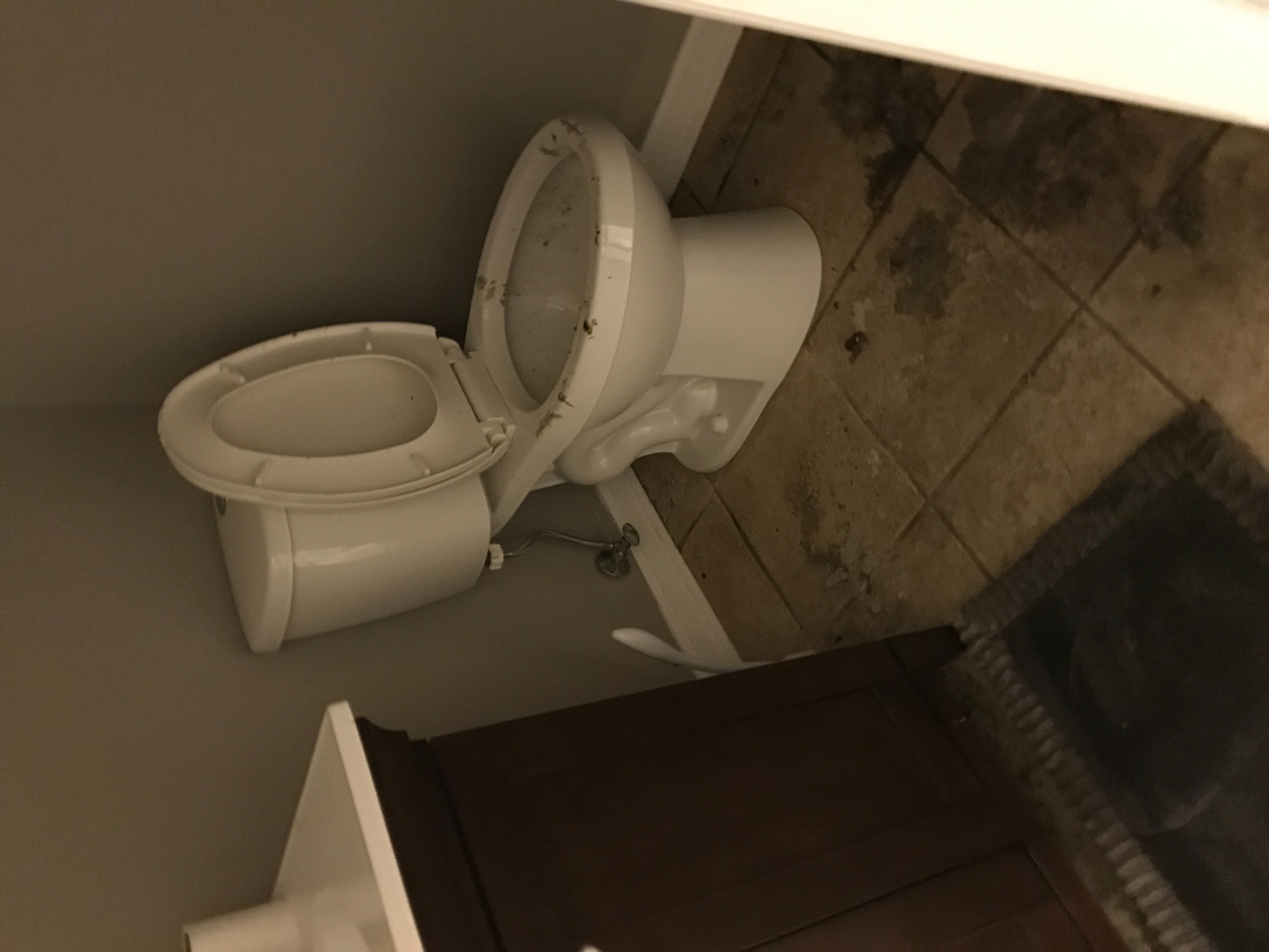 Sewer Backup in Cranford, NJ