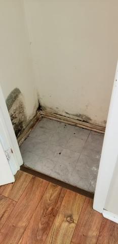 Dish Washer Leak in Long Valley, NJ - Northeast Power Dry Dish Washer Leak in Long Valley, NJ