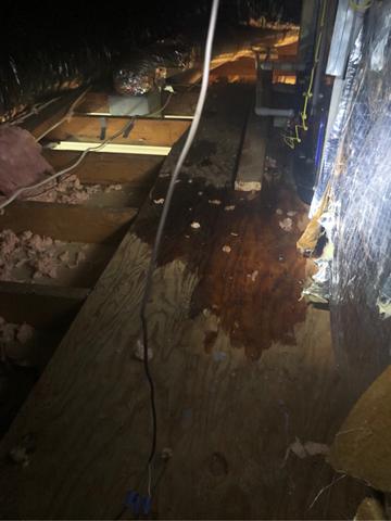 Air Conditioning Hose Burst in Somerville, NJ