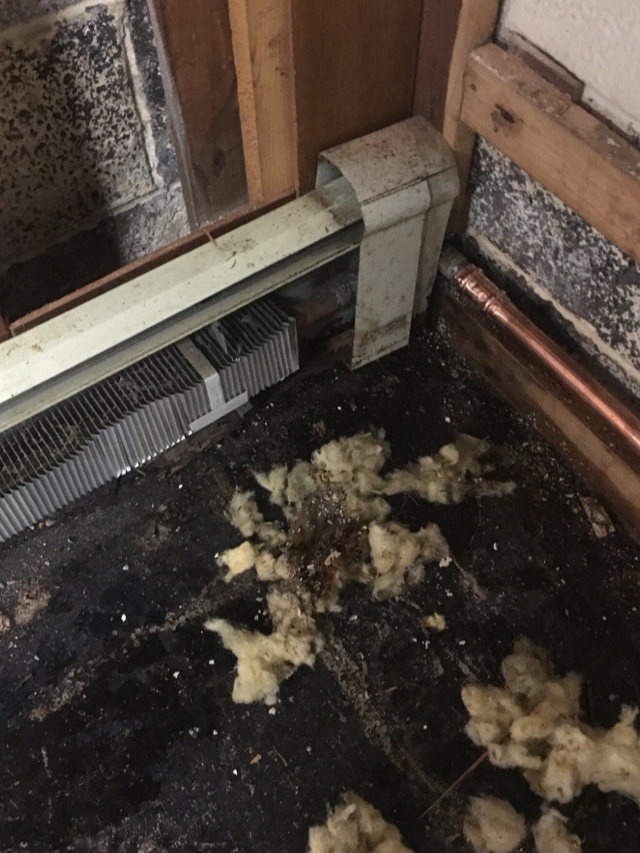 Before & After - Northeast Power Dry Before & After