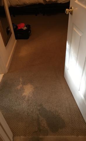Before & After - Northeast Power Dry Before & After