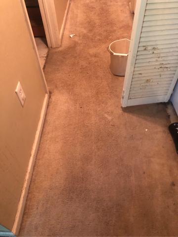 Overhead Sprinkler System Went Off in Scotch Plains, NJ