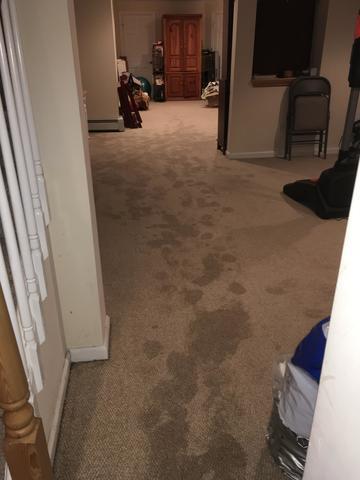 Before & After - Northeast Power Dry Before & After